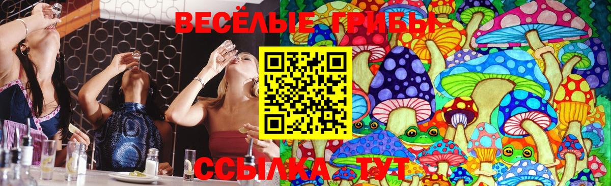 Псилоцибиновые грибы Magic Shrooms Красноярск
